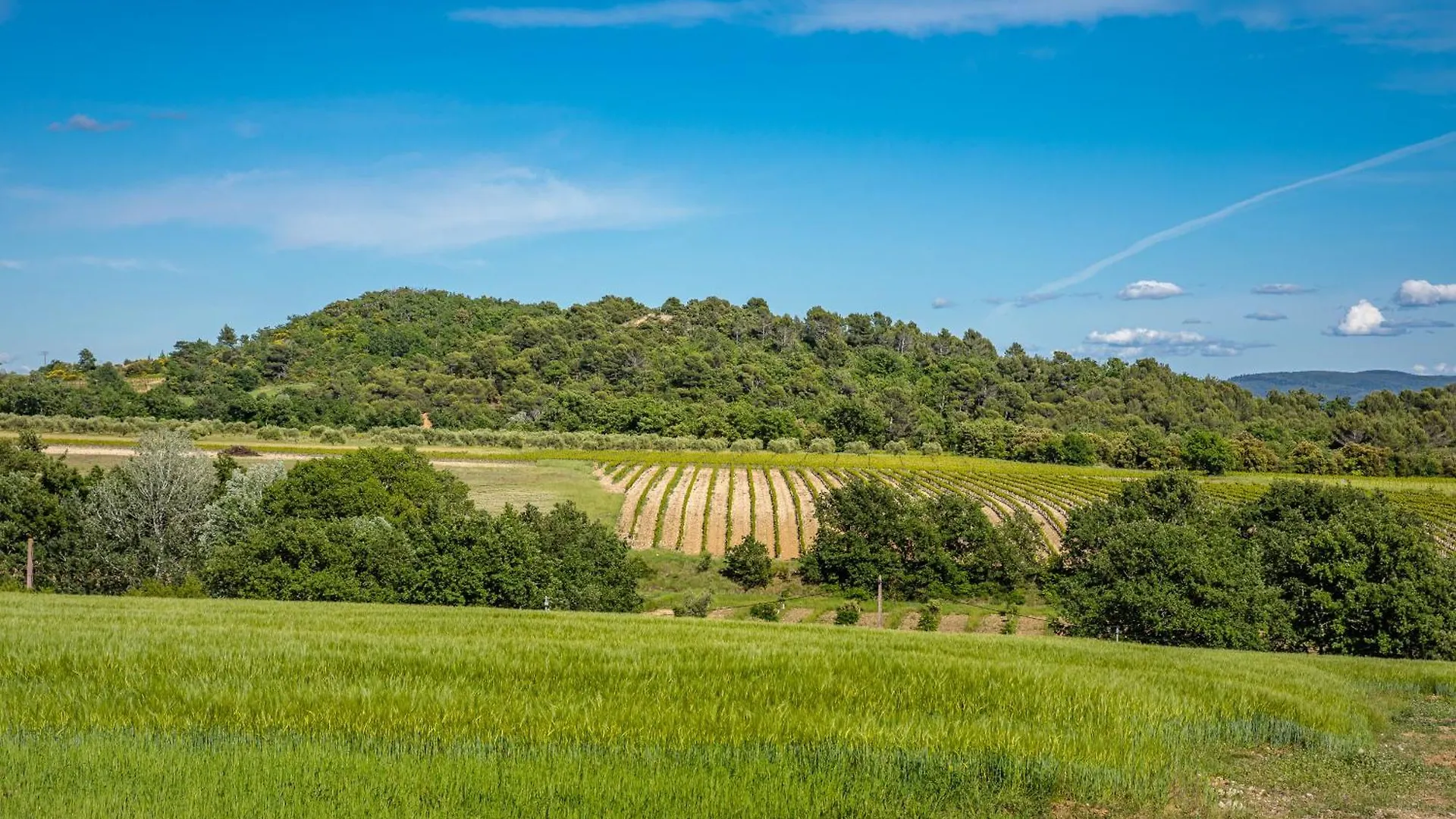 Holiday home Domaine De La Colline Villa Cucuron France