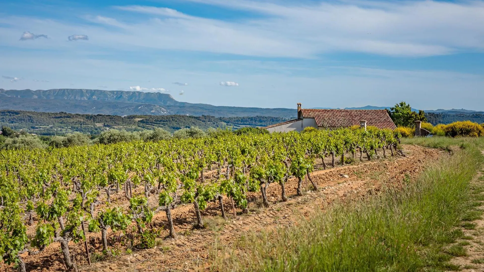 Holiday home Domaine De La Colline Villa Cucuron France