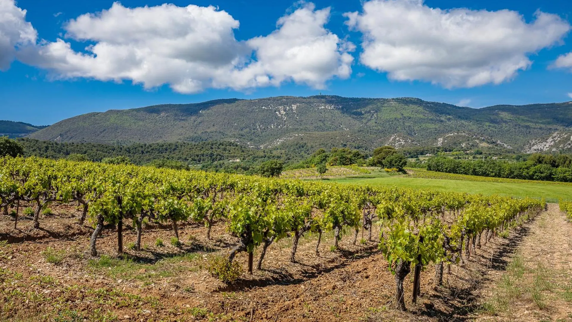 Holiday home Domaine De La Colline Villa Cucuron